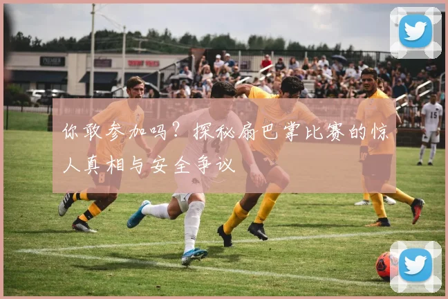 你敢参加吗？探秘扇巴掌比赛的惊人真相与安全争议